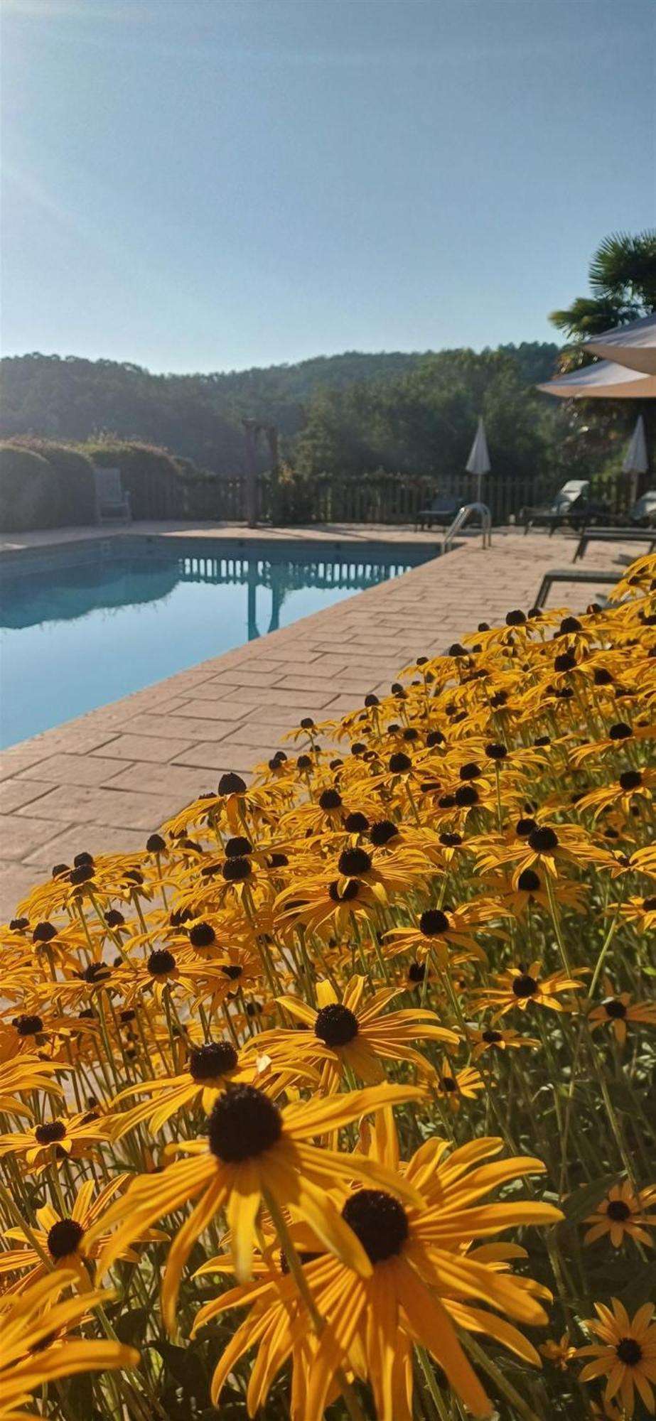Domaine De Cournet Haut, A 17Th Century Property Set On A Calm, Idyllic Domain With Pool, Tennis, Bikes And More Les Vauries Exterior photo